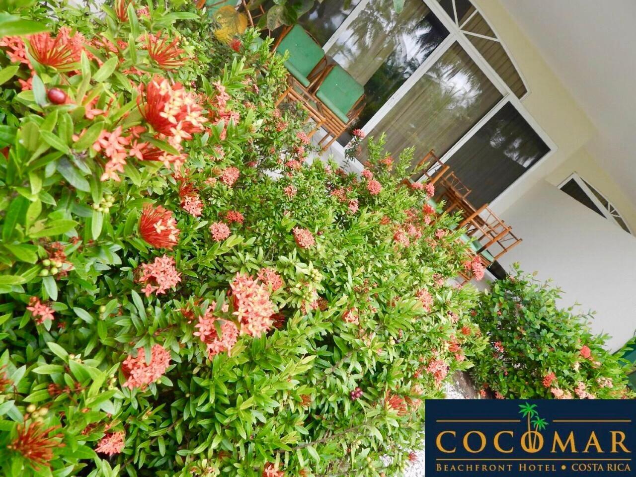 Cocomar Beachfront Hotel Quepos Exterior photo